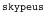 skypeus